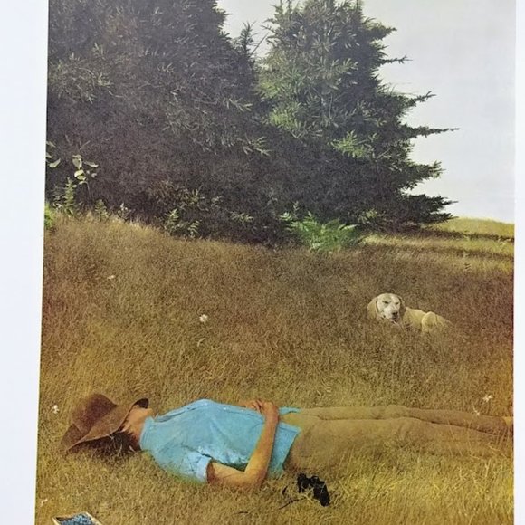 Andrew Wyeth Hardcover, 1968, Richard Meryman (Author), 2nd printing - Picture 11 of 16